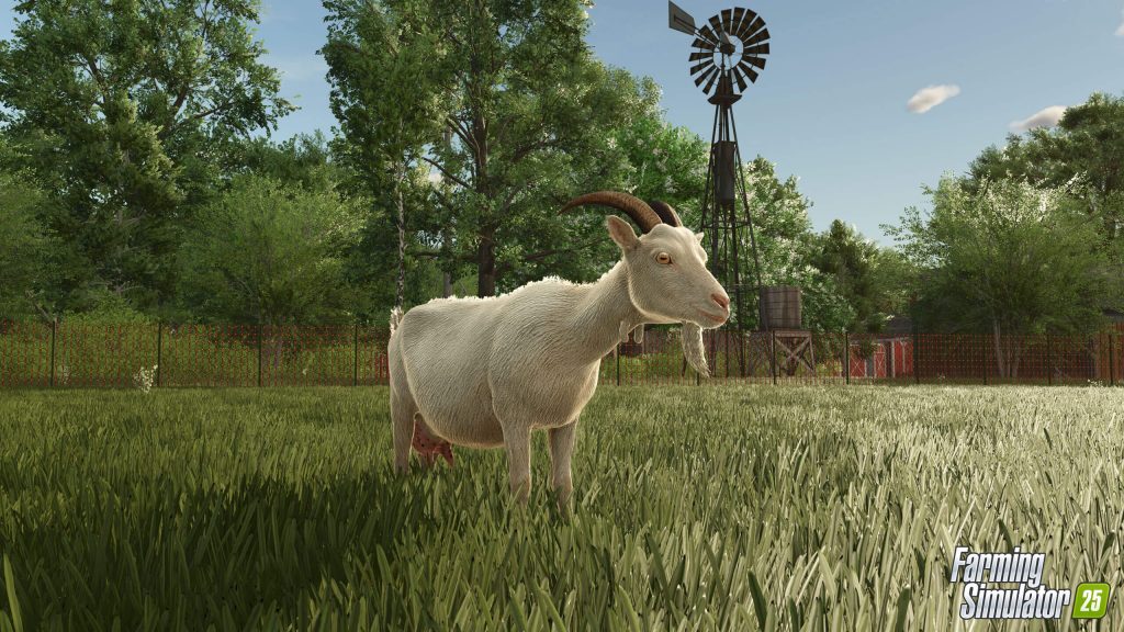 Козье молоко, сыр и другие продукты в Farming Simulator 25 